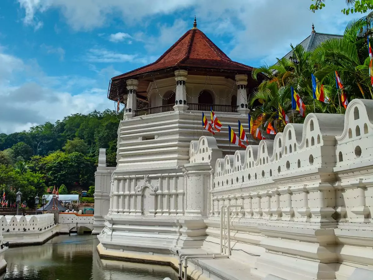 kandy-670e5bed90721.webp